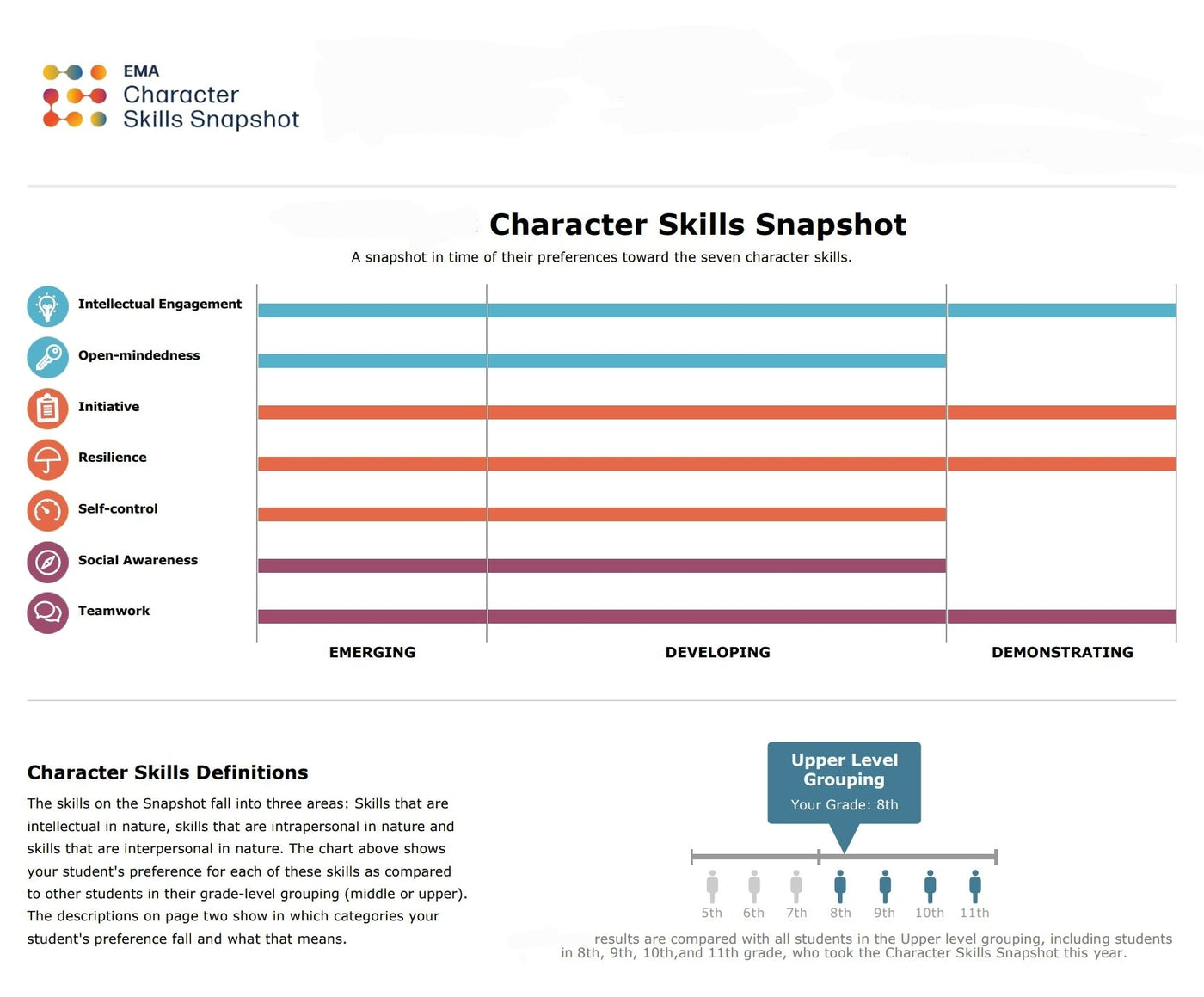 Character Skills Snapshot 꼭 내야 하나요?